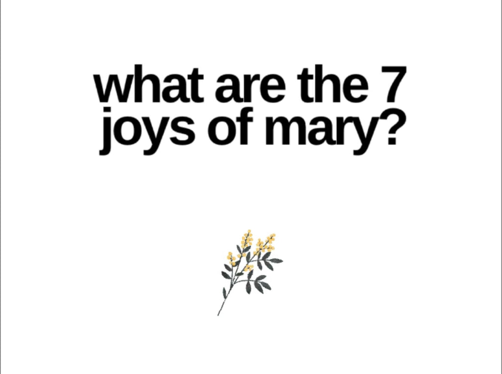 Seven Joys of Mary